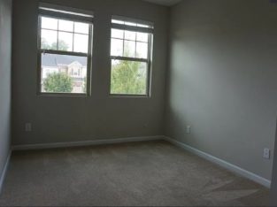 Room available for female in Morrisville