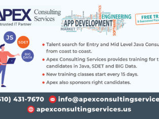 Apex Consulting Services