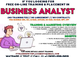 100 % Free Online Business Analyst Training