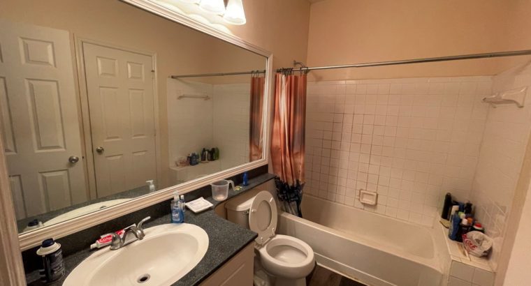 1 bed apartment – Lease Takeover- Cary