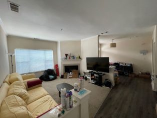 1 bed apartment – Lease Takeover- Cary