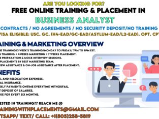 Free Online BA Training & Placment
