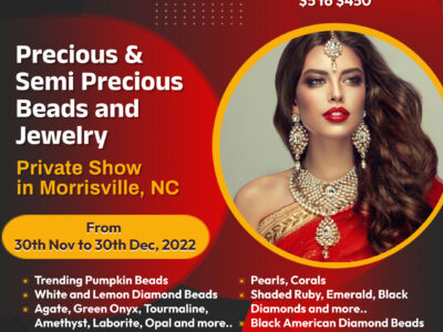Exotic Semi Precious Beads Private Show