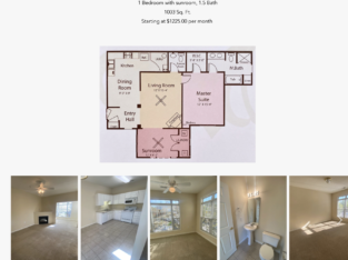 1 Bed 1.5 Bath Spacious Apartment Avl For Rent