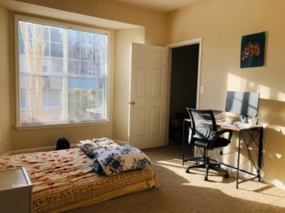 Looking for a female roommate to share 2b/2b