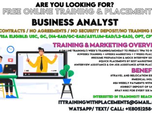 Free Online BA Training & Placement