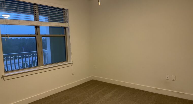 MASTER BED in 2 bed 2 bath Apt, 5min to RTP