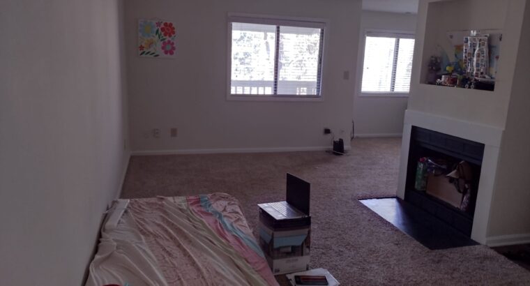 1BA at Morrisville-Looking for male roommates