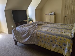 Looking for a female roommate in Morrisville