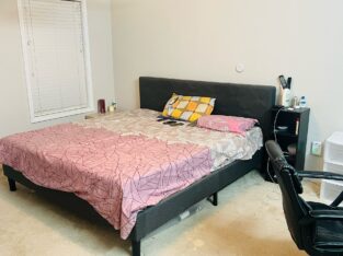 Fully Furnished Master Bed Room In Morrisvill