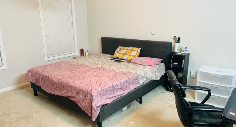 Fully Furnished Master Bed Room In Morrisvill