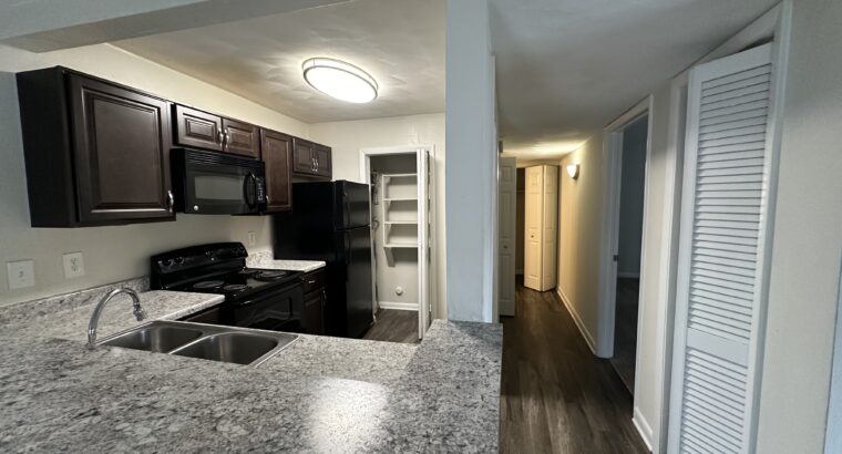 1 Bedroom Apartment For Sub-Lease In RTP