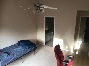 Briercreek – Room Available 1st Nov