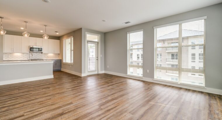 Luxury Apartment In Morrisville