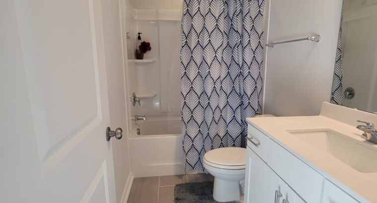 Private Room with shared bath in Morrisville