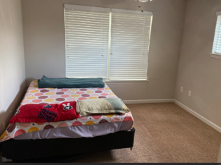 Looking for an Indian Female roommate